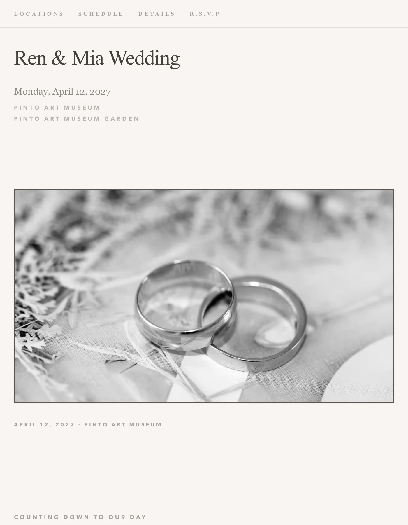 Minimal sample invitation: couple's names in a plain serif on off-white, with a black-and-white photo of two wedding rings
